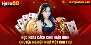 Tìm hiểu cách chơi bầu cua luôn thắng từ những thủ thuật không ngờ