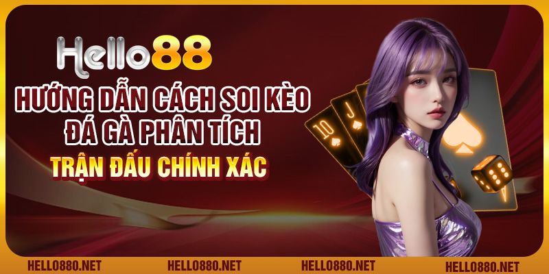 Hướng dẫn cách soi kèo đá gà: Phân tích trận đấu chính xác